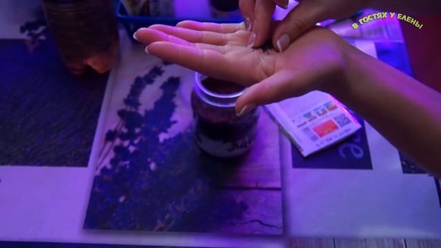 СЕЕМ ЛАВАНДУ  СТРАТИФИКАЦИЯ.