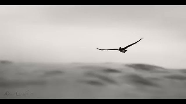 Peter Davison - Glide III (Glide) смотреть онлайн