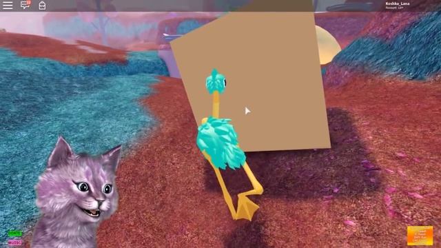 Я ПТИЧКА! БЕЗУМНЫЕ ПТИЦЫ В РОБЛОКС roblox bird смотреть онлайн