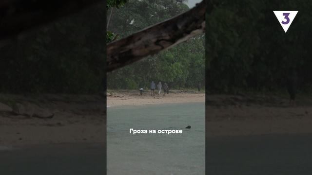 Участникам пришлось срочно спасаться от страшной грозы на необитаемом острове смотреть онлайн
