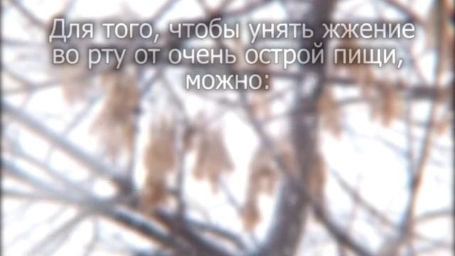012 ПС Жжение от перца смотреть онлайн