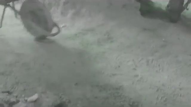 Joyitas de Amigos del Arte (Muestra Fotográfica) смотреть онлайн