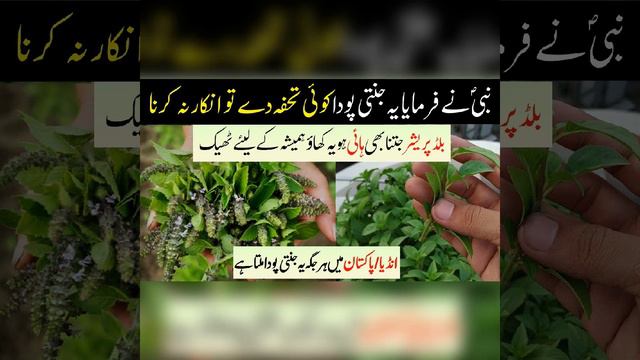 January 27, 2024 смотреть онлайн