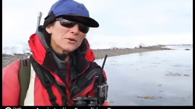 Круизы в Арктику и Антарктику смотреть онлайн