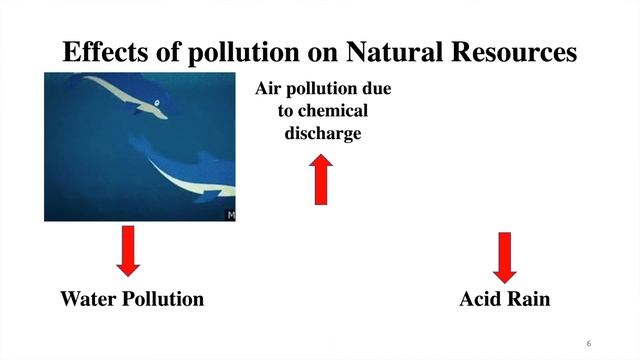 Pollution Damages Natural Resources смотреть онлайн