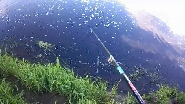 Ловля окуня и пескаря на реке/огромный пескарь/последняя высокая вода весной в Орше #5 смотреть онлайн