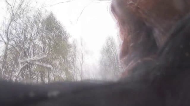 racer forester (winter) смотреть онлайн