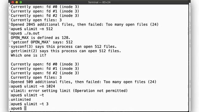 Advanced Programming in the UNIX Environment: Week 06, Segment 5 - Process Limits and Identifiers смотреть онлайн