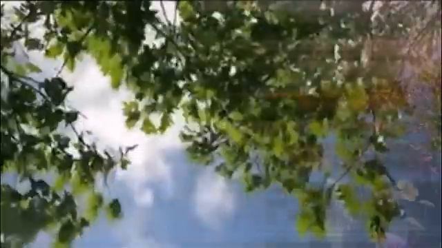 Песня "Влюблена весна" Автор-исполнитель Раиса Ромазанова. Аранжировка Ильи Халтурина смотреть онлайн