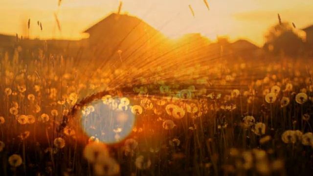 Марс Гисматулин: "НЕ СУДИТЕ". Прочтение — Елена Артёменко. смотреть онлайн