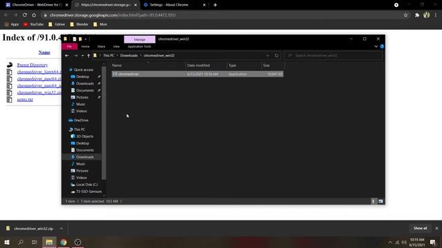 Selenium & Chromedriver Installation смотреть онлайн