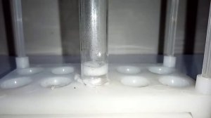 Реакция МАГНИЯ и СОЛЯНОЙ КИСЛОТЫ. Получение ХЛОРИДА МАГНИЯ MgCI2. Опыты по химии дома. Эксперименты