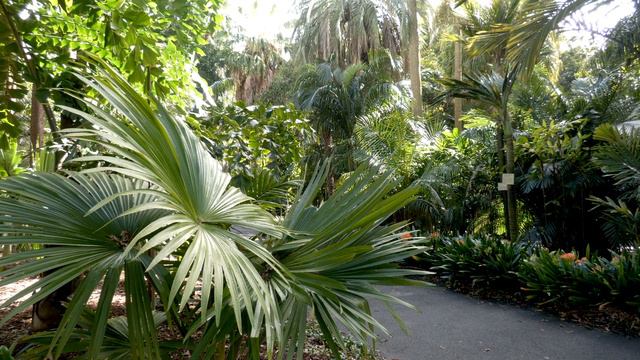 The Royal Botanic Gardens Spring 2022