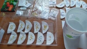 ПЕРЦЫ и БАКЛАЖАНЫ. ПРЕДпосевная обработка семян без заморочек