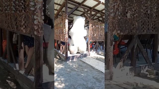 Белый мишка медведь из Сочи гарантированно получит шаурму в презент !! Заслужил! ? смотреть онлайн