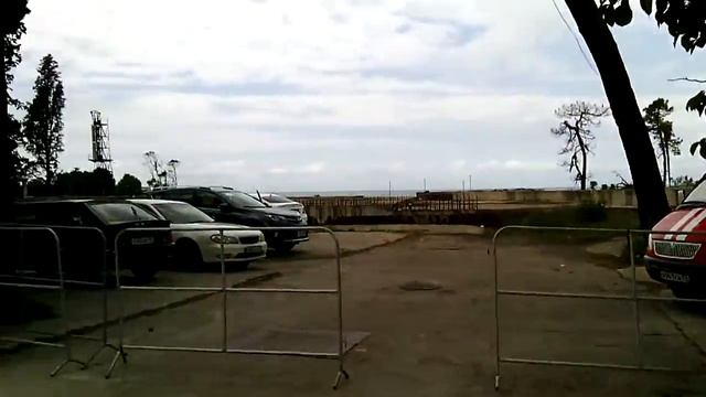 Царь кедр у парка Ривьера в Сочи смотреть онлайн