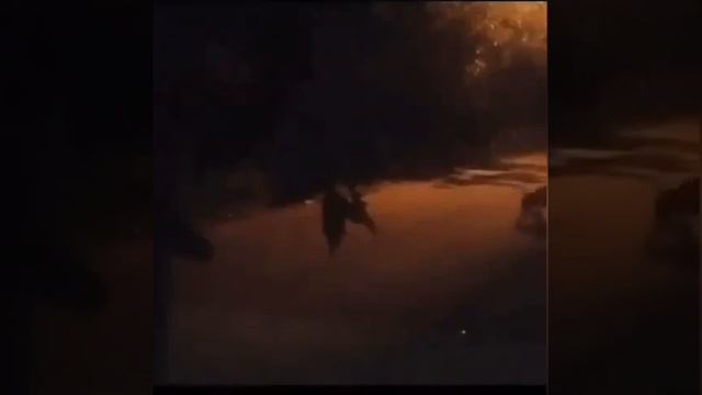 es de terror las camara de tras del rastro de mi Pueblo paso esto смотреть онлайн