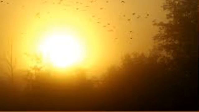 В неділю рано, псальма, Василь Кирилич смотреть онлайн