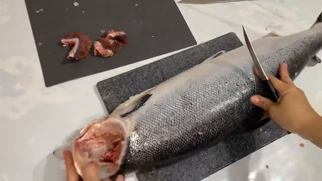 Как легко почистить и разделать семгу в 5 кг!!! Бомбим Семгу!!! смотреть онлайн