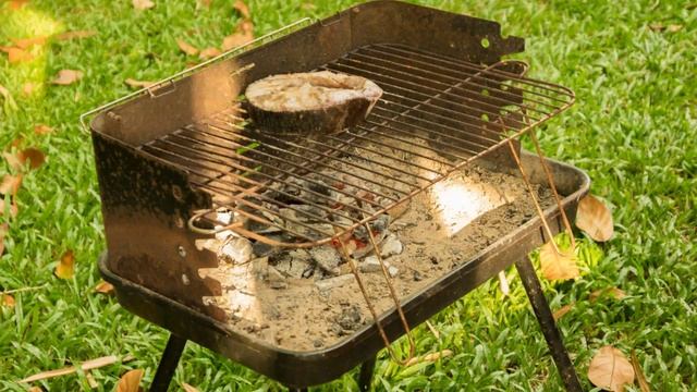 Ракушки и рыбка на мангале. Timelapse смотреть онлайн