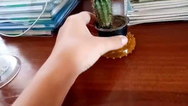 Самый честный обзор на кактус смотреть онлайн