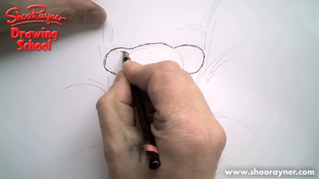 How to draw a Koala смотреть онлайн
