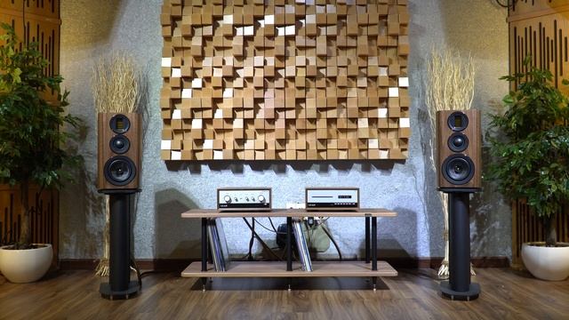 Tuấn Anh Wharfedale Evo4 2, Leak CDT, Leak Stereo130 смотреть онлайн