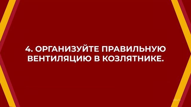 Онлайн курс обучения «Животноводство» - 6 советов по содержанию коз зимой