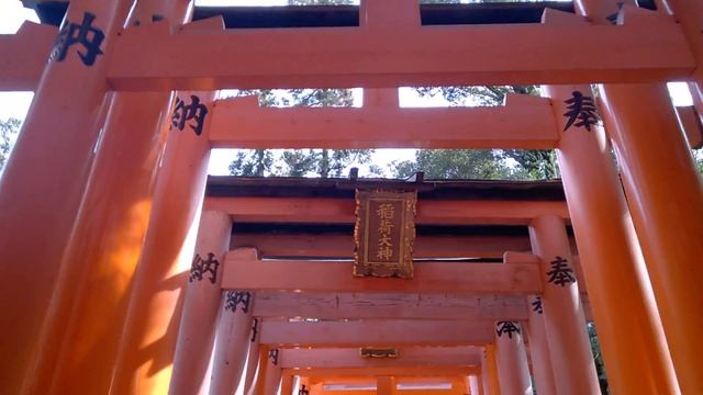 Святилище Фусими Инари смотреть онлайн