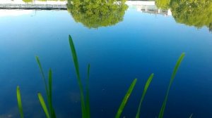 Район Южное Бутово, Москва.|Yuzhnoye Butovo District, Moscow.