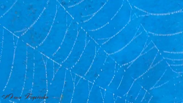 Паутина 23. 11. 2021 смотреть онлайн