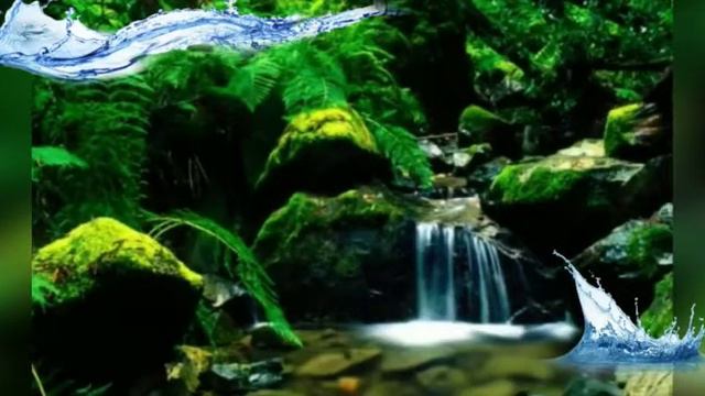 экологическое досье «Вода - чудесный дар природы» смотреть онлайн