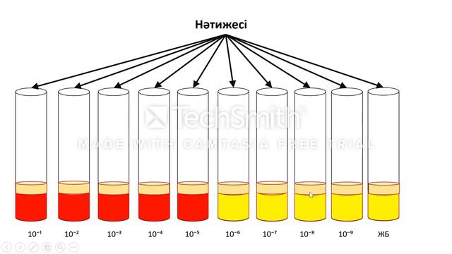 вирус титрін анықтайтын түсті сынама смотреть онлайн