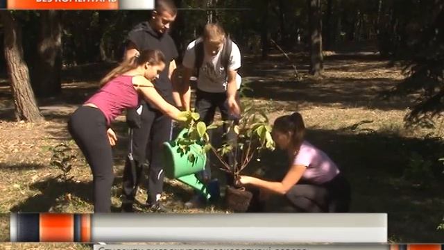 Студенти висаджували декоративні дерева та кущі у рівненському парку смотреть онлайн
