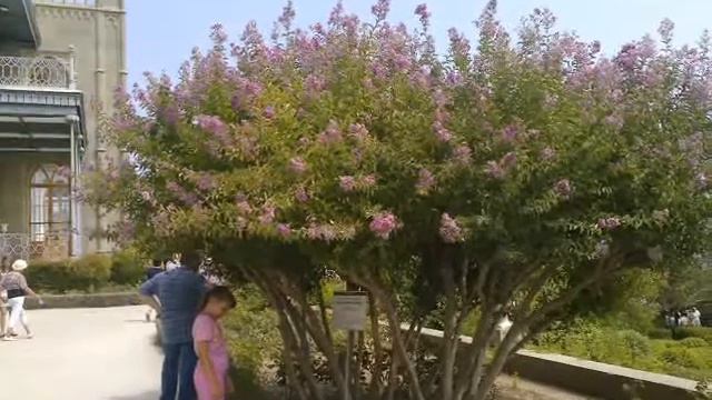 Алупка смотреть онлайн