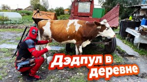 ДЭДПУЛ ДОИТ КОРОВУ / ДЭДПУЛ ИЗ СИБИРИ
