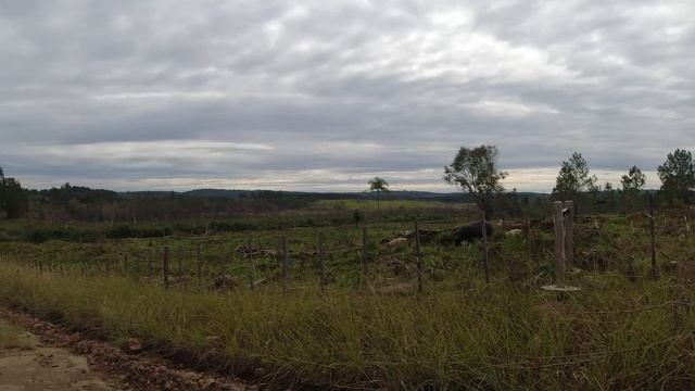 Провинция Мисьонес ? Земельные Участки ? "Chacras" Argentina Rural смотреть онлайн