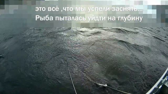 Spinning test St.Croix Legend Elite LES70MF2 Трофейная дикая ФОРЕЛЬ 4.8 кг. смотреть онлайн