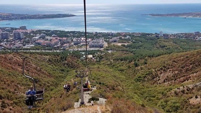 Сафари парк 2023