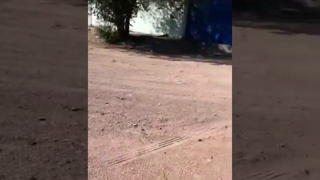 В Балхаше девочка упала в открытый колодец смотреть онлайн