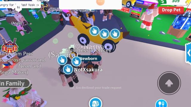 ??? ЧТО ДАЮТ ЗА БИЗНЕС ОБЕЗЬЯНУ. Трейд BUSINESS MONKEY в Adopt Me ROBLOX ??? смотреть онлайн