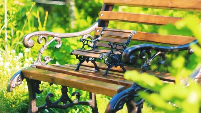 Лавочки Близнявочки. Скамейки Близнецы | Футажи красивая природа [FullHD] смотреть онлайн
