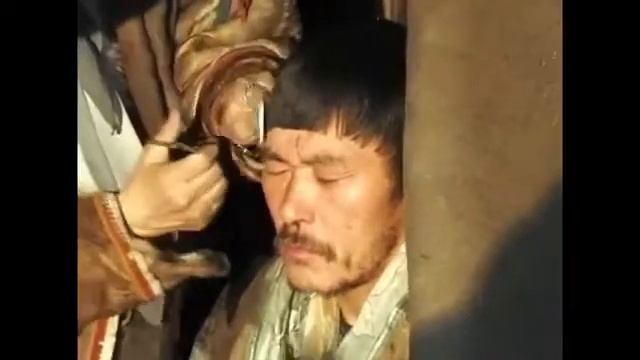 Удивительное путешествие в тундру 2 смотреть онлайн