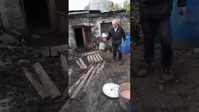 Будни свинарей смотреть онлайн