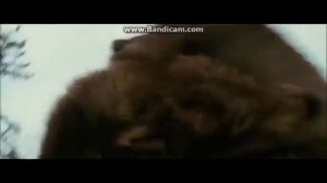 СУМЕРКИ Клип Rise