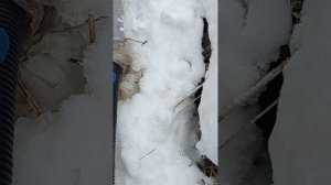 Апгрейд дренажного насоса. Устал менять насосы.