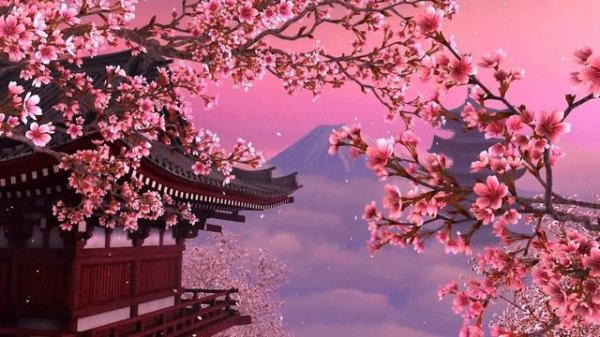 Beautiful Japanese Music For Relaxation | Sakura Blossoms | Japanese Flute Music