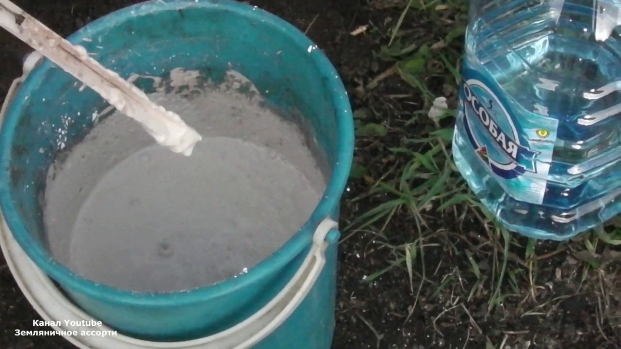 КАК ЗАЩИТИТЬ ДЕРЕВЬЯ ОТ МЫШЕЙ И РАННЕВЕСЕННИХ СОЛНЕЧНЫХ ОЖОГОВ смотреть онлайн