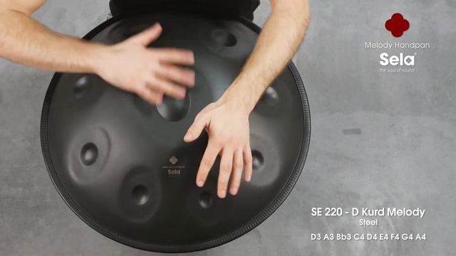Sela SE 220 Melody Handpan D Kurd