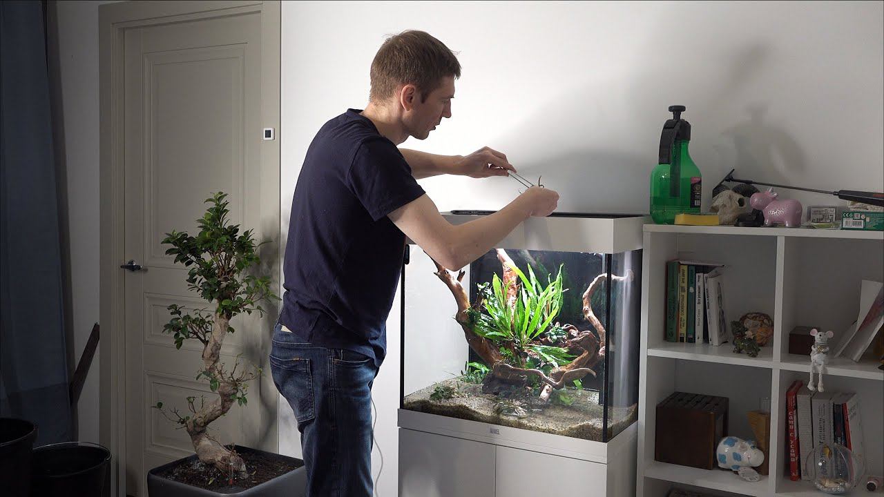 Оформление медленного травника Juwel Lido 120 смотреть онлайн